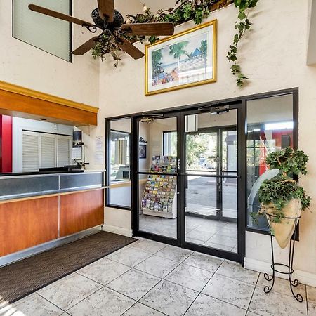 Econo Lodge Palm Harbor - Clearwater Exterior foto